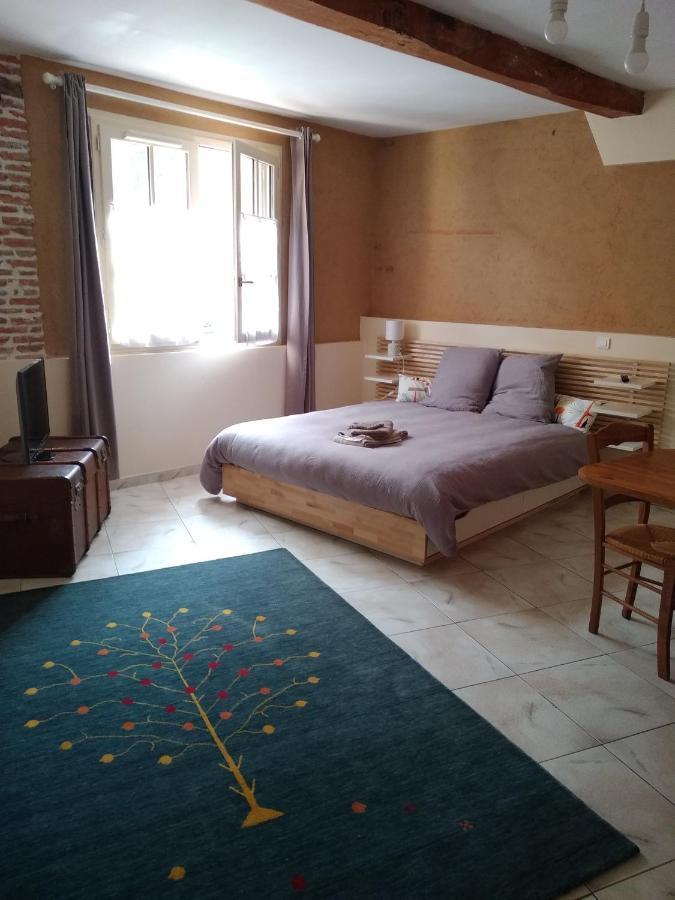 Au Coeur De Montastruc-La-Conseillere - Chambres D'Hotes Buitenkant foto